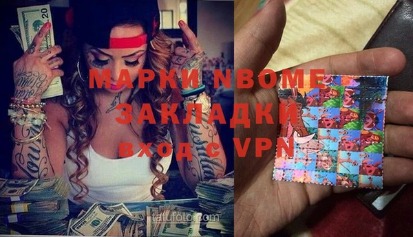 индика Дмитровск