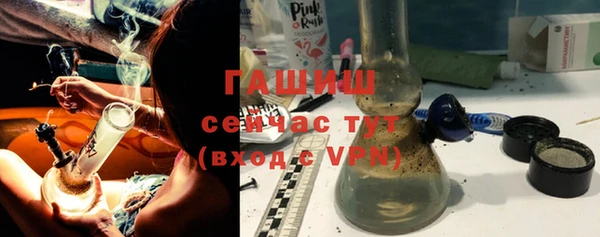 индика Дмитровск