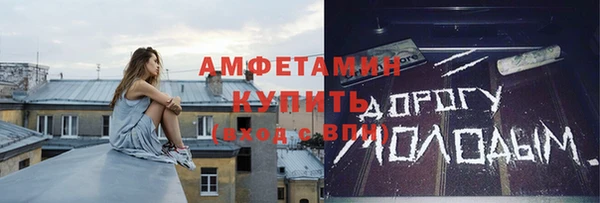 индика Дмитровск