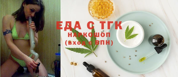индика Дмитровск