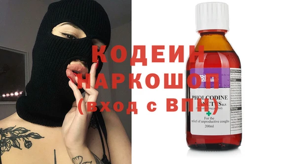 индика Дмитровск