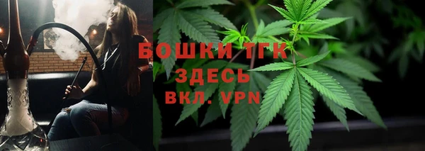 индика Дмитровск