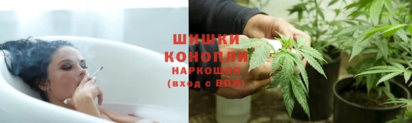 дурь Елабуга