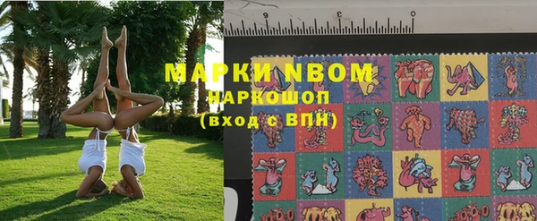 индика Дмитровск
