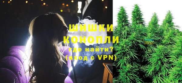 бошки Дмитриев