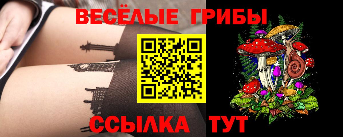 Дзержинск  Псилоцибиновые грибы прущие грибы  Вход с VPN 